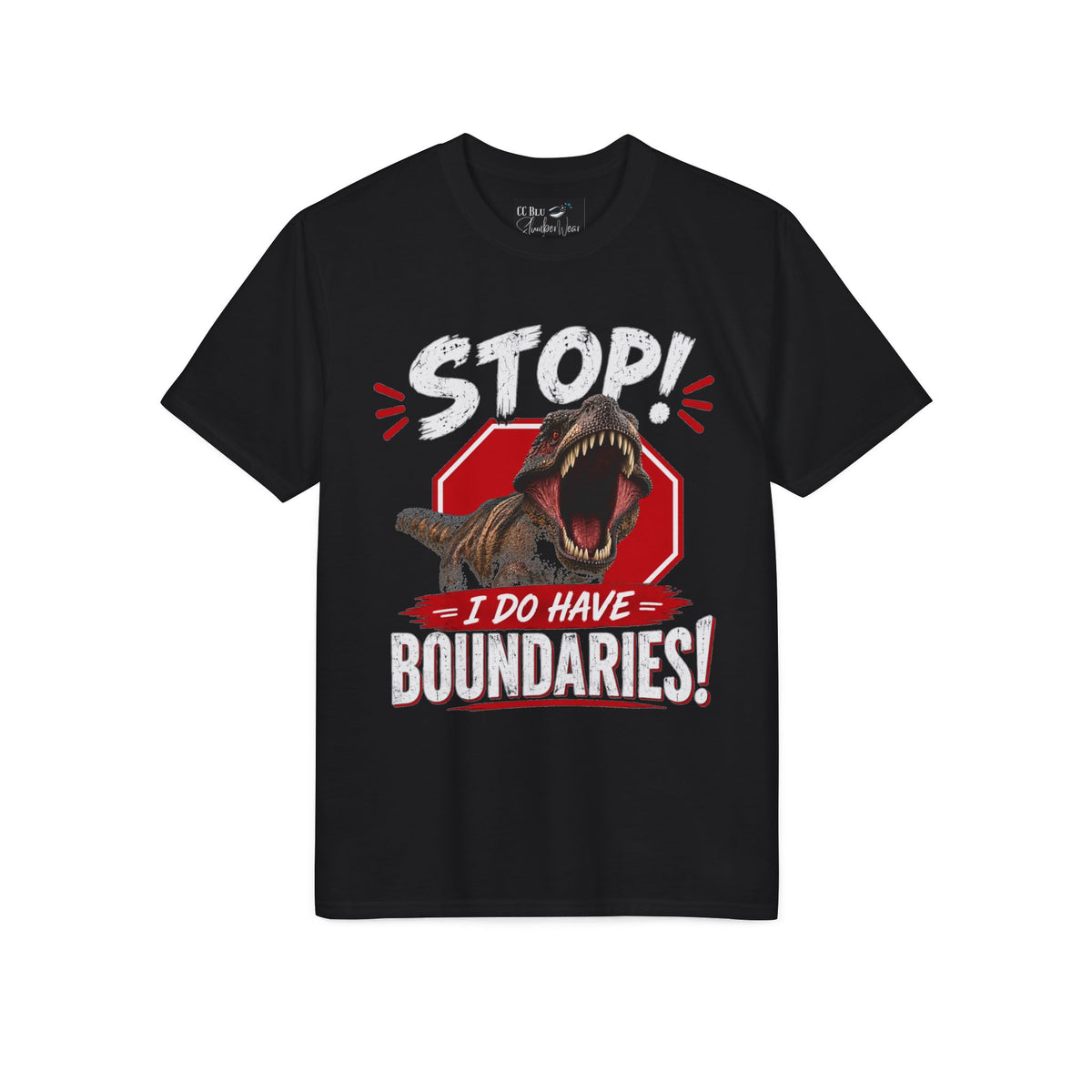 Ladies, Stop! Get Your I Do Have Boundaries T-Shirt — Check out CC Blu's SlumberWear & Beyond Shirt of the Month Collection