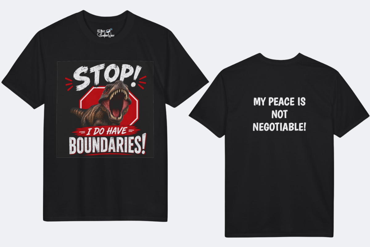 Stop! I Do Have Boundaries T-Shirt — CC Blu SlumberWear & Beyond Shirt of the Month With Attitude Collection. Check Your Discount!