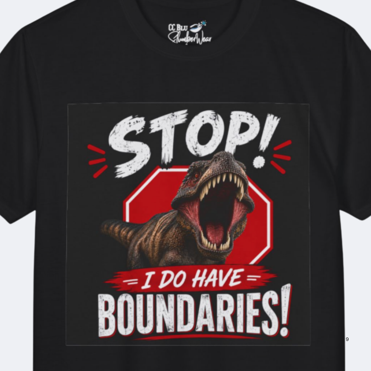 I Do Have Boundaries Black Racerback Sleeper-Tank for Women. Wear It On Your:" DON'T BUG ME DAY!" And Smile!