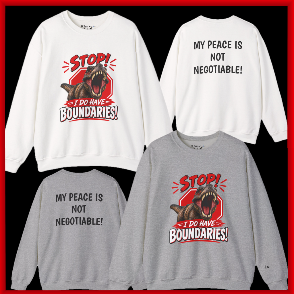 Women, "Stop! I Do Have Boundaries" Sweatshirt! “ Is The Perfect Gift For A Woman Who Has Finally Learned To Say NO.”CC Blu's  Shirt-Of-The-Month.