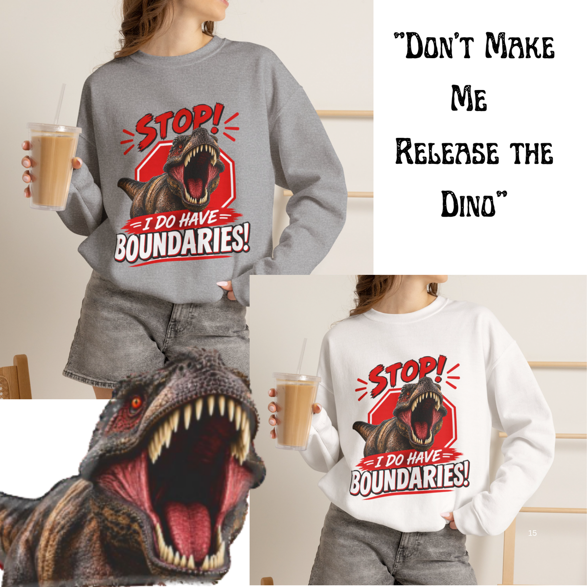 Women, "Stop! I Do Have Boundaries" Sweatshirt! “ Is The Perfect Gift For A Woman Who Has Finally Learned To Say NO.”CC Blu's  Shirt-Of-The-Month.