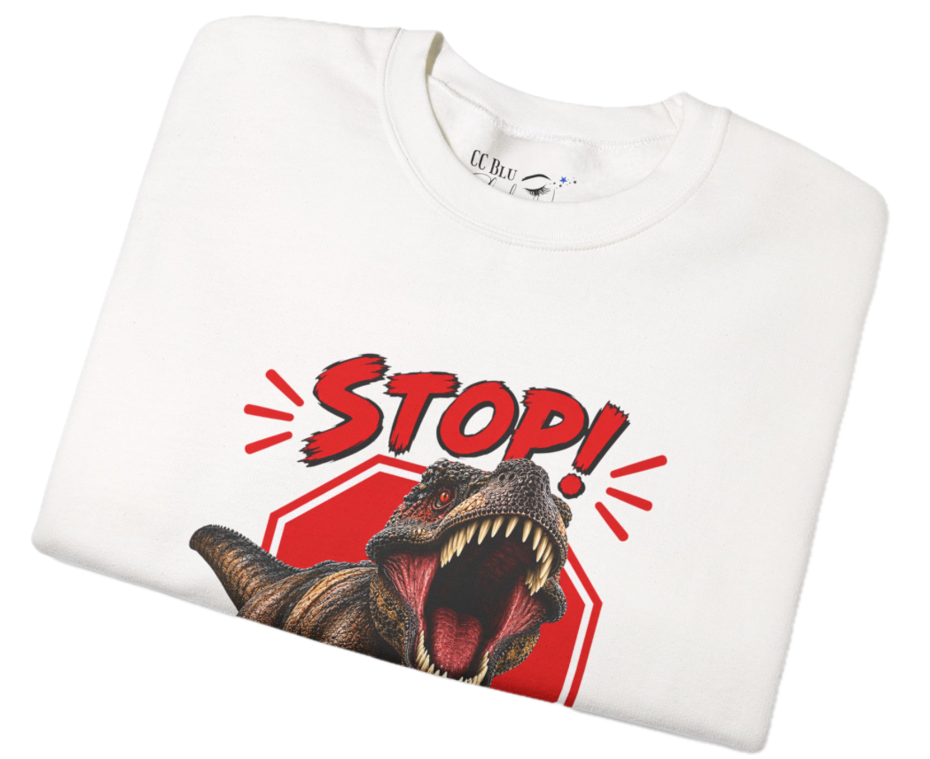 Women, "Stop! I Do Have Boundaries" Sweatshirt! “ Is The Perfect Gift For A Woman Who Has Finally Learned To Say NO.”CC Blu's  Shirt-Of-The-Month.